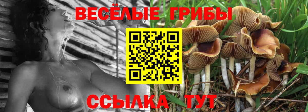 Псилоцибиновые грибы мицелий Амурск