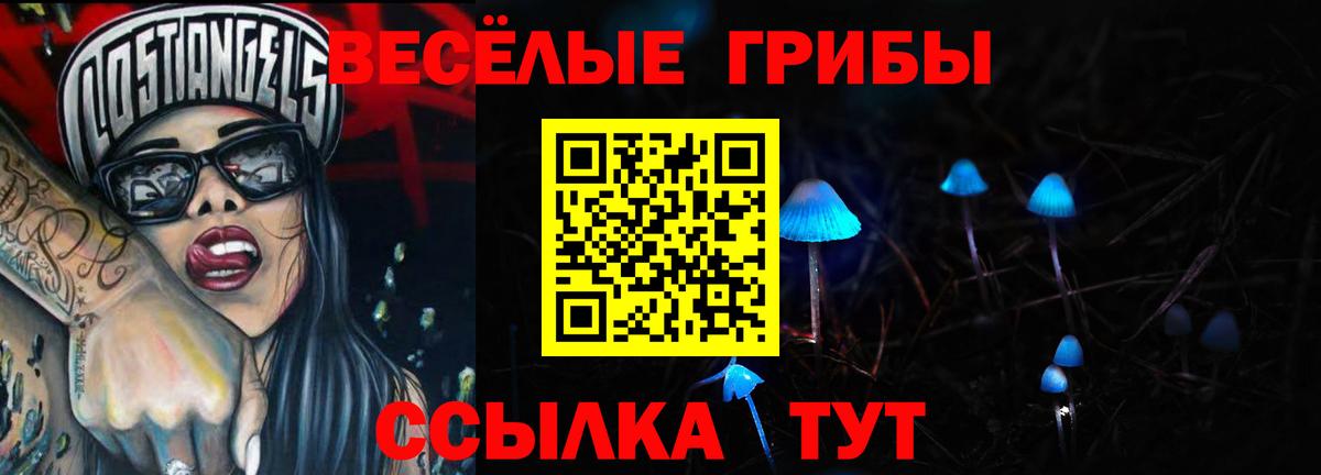 Псилоцибиновые грибы MAGIC MUSHROOMS  Вход с VPN  Амурск 